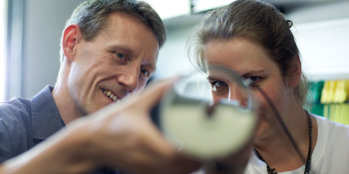 Magnetic Resonance projects at DTU (NMR,MRI)
